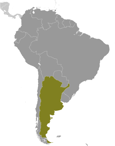 Położenie Argentyny na mapie Ameryki