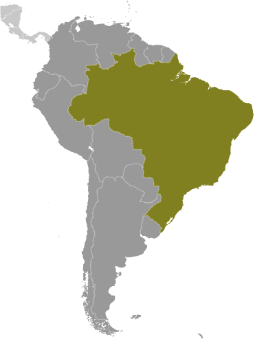Położenie Brazylii na mapie Ameryki