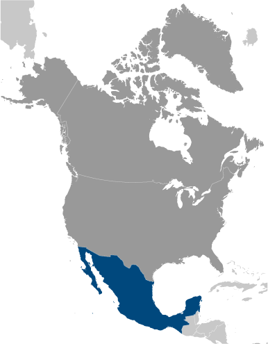 Położenie Meksyku na mapie Ameryki