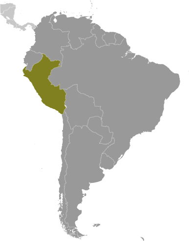 Położenie Peru na mapie Ameryki