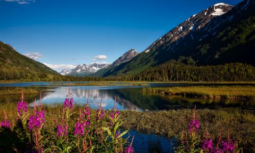 Alaska | © ESTA Travel