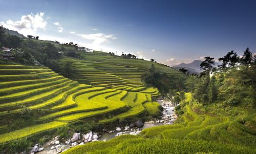 Wietnam | © ESTA Travel
