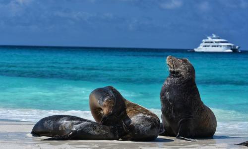 Wyspy Galapagos | © ESTA Travel