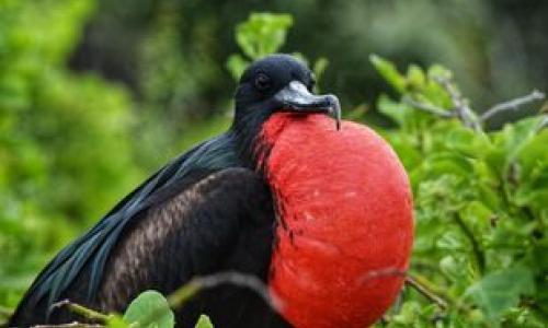 Ekwador i Galapagos | © ESTA Travel