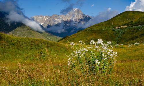 Gruzja trekking RACZA