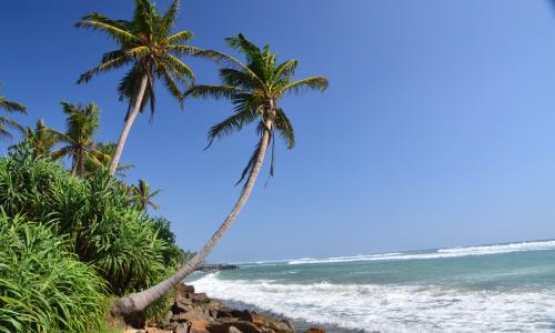 Sri Lanka z Aną Brodziak | © ESTA Travel