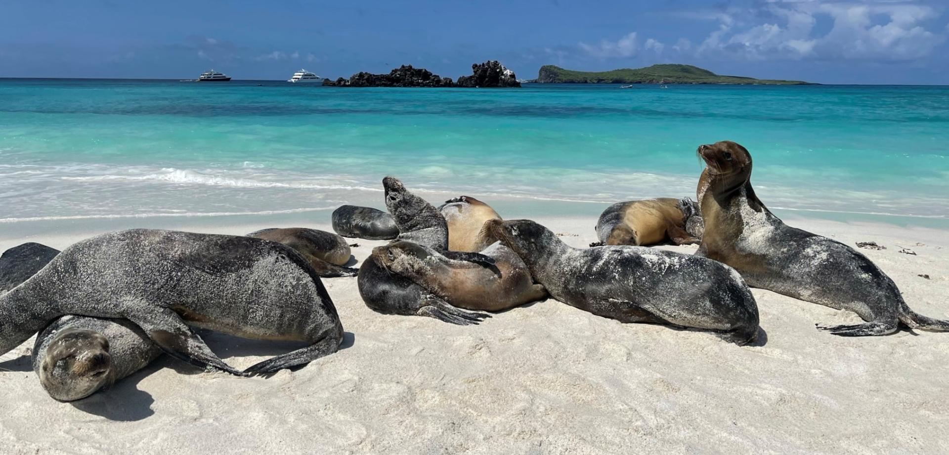 Ekwador i Galapagos