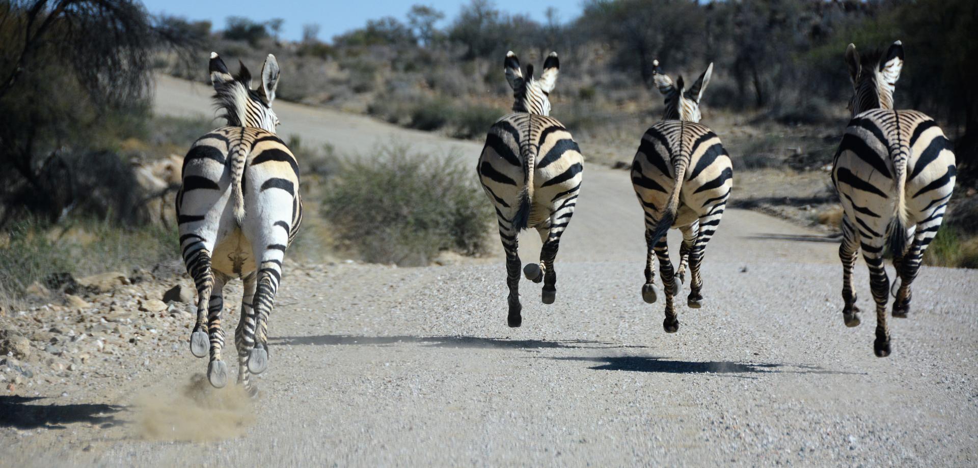 Namibia długa 