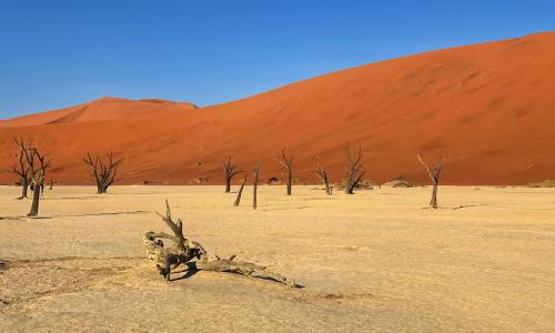 Namibia – Botswana – Zambia – Zimbabwe 